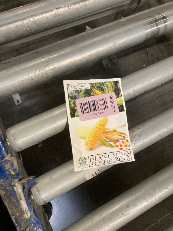 Photo 1 of "Kandy Corn" Sweet Corn Seeds, 25 Heirloom Seeds Per Packet, (Isla's Garden Seeds), Non GMO Seeds, Botanical Name: Zea mays