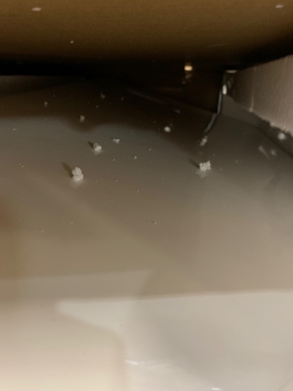 Photo 1 of ***SOLD FOR PARTS***Swiss Madison SM-WT442 Cohttps://firebasestorage.googleapis.com/v0/b/nellishr-cbba0.appspot.com/o/processing-photos%2F1063034328%2FnfFWAaOem4pu0dZtMzhzU.jpeg?alt=media&token=beaeaf17-115d-415a-ae16-022b1f931c83ncorde Wall Hung Toilet B