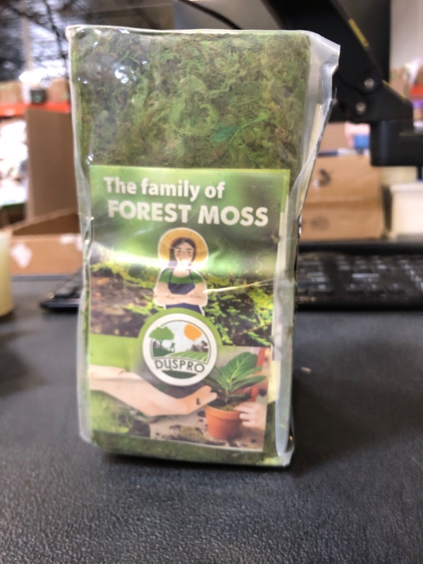 Photo 1 of [Upgraded] DUSPRO Green Moss for Crafts, Real Forest Moss Potted Plants, Decorative Mosses for Table Centerpieces Wedding, Easter Day Decoration, Indoor Planters, DIY Project (1.25 Lbs)