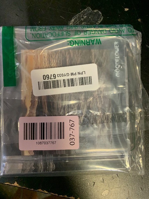 Photo 1 of Moonflower