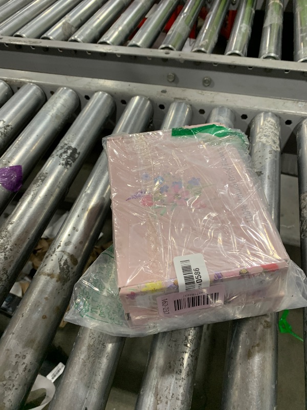 Photo 1 of 10 Pack Dried Flower Bouquets Mini Dried Flower with Stem Forget Me Not Dried Embossing Natural Flower Bundles Artificial Flower Dried Floral Arrangement for Vase DlY Wedding Decor (Forget Me Not)