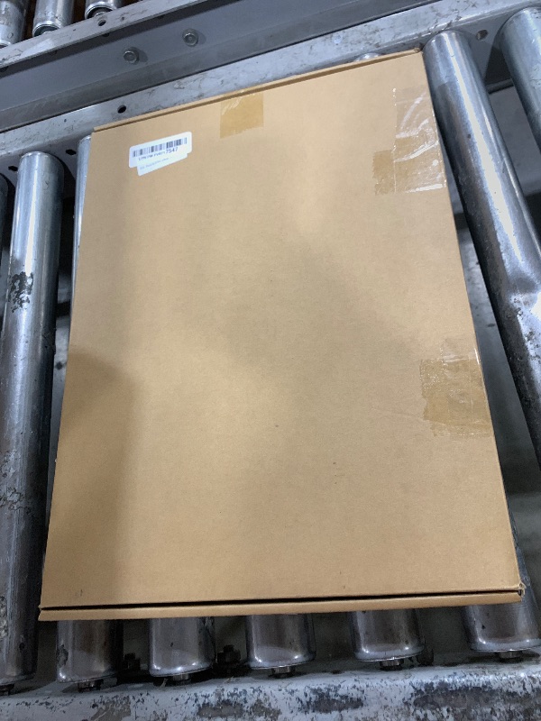 Photo 1 of Parrot Its 5 o'clock Somewhere Sign Neon - Bar Beer Neon Sign for Wall Decor, USB-Powered, Dimmable LED Neon Light for Man Cave, Home Bar, Birthday Party, Club, Bedroom Decor(16.5×12.5 inches)