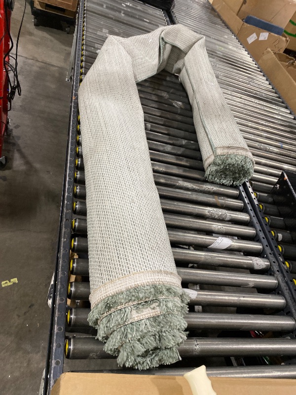 Photo 1 of Handcrafted Light Green Area Rug