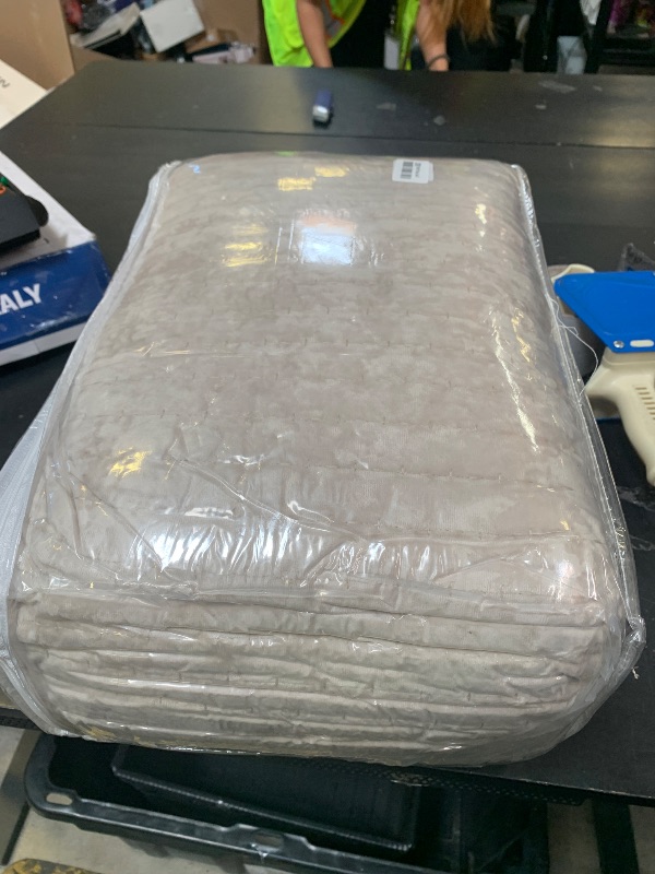 Photo 1 of NEPHEALIS Luxey Velvet Qulit California King Size 106x118 Quilted Bedspread Set with 2 Pillow Shams (20x36) Ultra Soft Coverlet Bedding Set for All Season with Decoration HOM,Beige