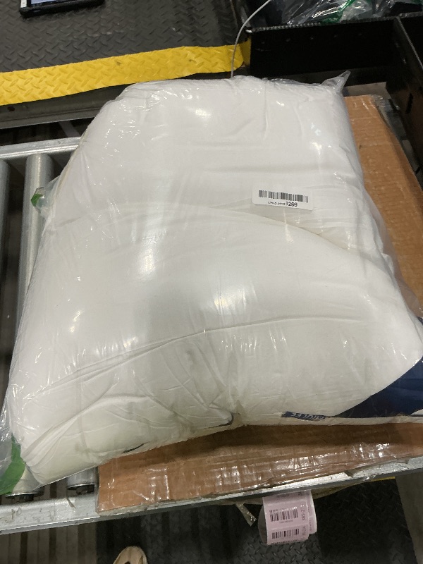 Photo 1 of ***STAINS*** MIULEE 20x20 Pillow Inserts Set of 2 Throw Pillows 20 Inch Premium Down Alternative Pillow Inserts Decorative Pillow Stuffer for Sofa, Couch (20x20 inch, Set of 2)
