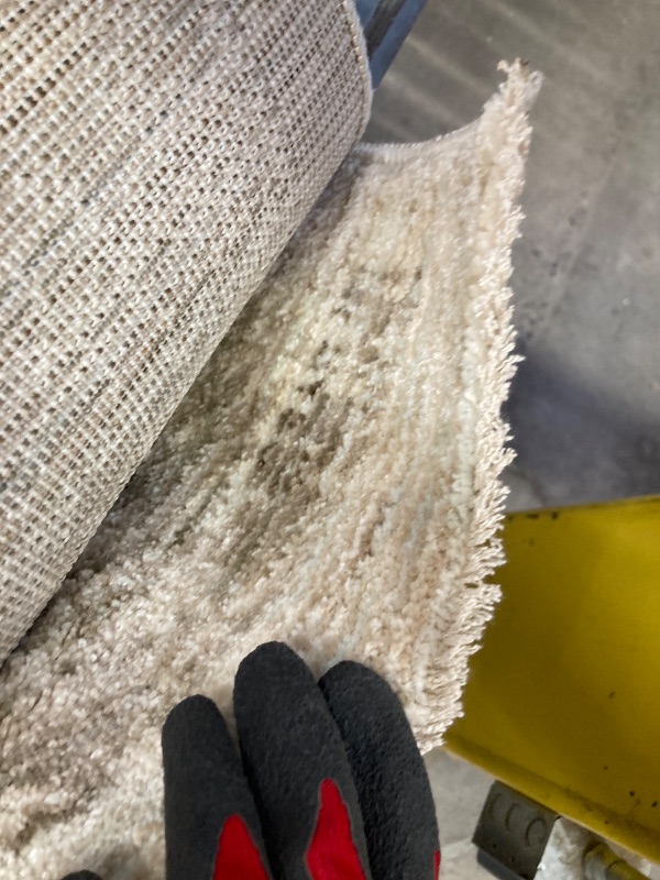 Photo 1 of Washable Area Rug for Living Room Bedroom, Retro Printed Traditional Vintage Rug, Non-Slip Foldable Large Carpet for Dining Room Home Decor, Beige