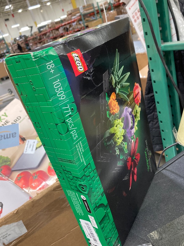 Photo 1 of **DAMAGED BOX***LEGO Botanicals Succulents - Artificial Indoor Plant Building Set for Home, Kitchen, Desk Decor Adults Ages 18+ - Gift for Birthdays - 10309
