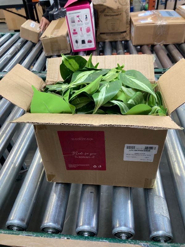 Photo 1 of 2 pk Artificial House Plants 