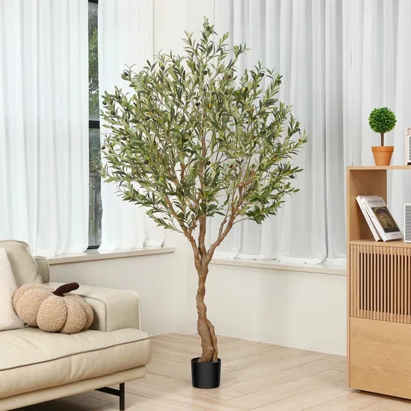 Photo 1 of Adcock 84" H Floor Olive Tree in Pot