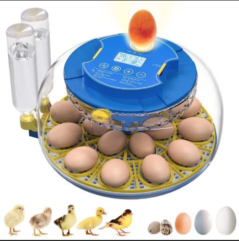 Photo 1 of Egg Incubator for Hatching Chicks, 18 Eggs Automatic Egg Turner Multifunctional Smart Incubator 360° Clear Window with Temperature & Humidity Control, Egg Candler for Poultry Chickens Ducks Quails
