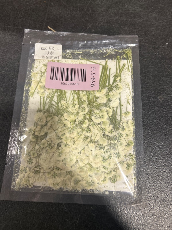 Photo 1 of 25 pcs Real Pressed Dried Flowers Mini White Gypsophila Baby's Breath for Wedding Invitation Resin DIY Art Floral Decors