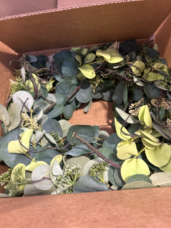 Photo 1 of 24 Inch Spring Wreath for Front Door, Spring Eucalyptus Wreath for Grapevine Farmhouse with Silk Printing Dollar Leaves Wreaths for Festival Celebration Front Door Wall Window Home Décor