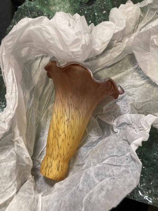 Photo 1 of HWDFEI Lily Flower Glass Lampshade Replacement, 2 Pack,Tulip Style Table Floor Lamp Shade Replacement 4.2" x 4.2" x 6.7" (Yellow Tea Color)