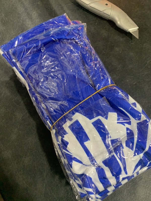 Photo 1 of 10 CHEER BANNERS 