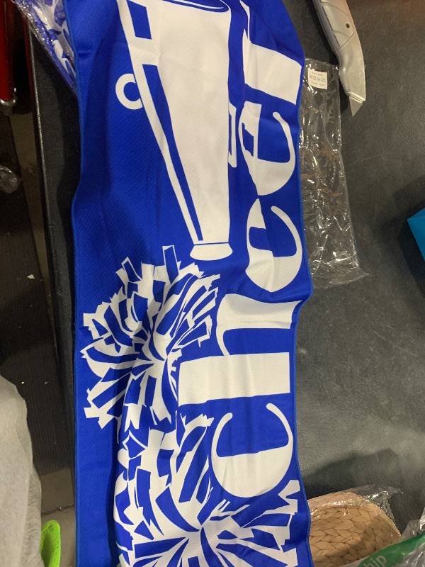 Photo 1 of 10 CHEER BANNERS 