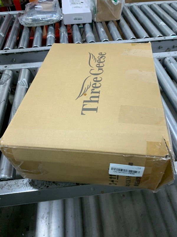 Photo 1 of Three Geese White Goose Feather Down Pillows Standard Size, Cotton Pillows Set of 2-100% Cotton, Medium Firm,Soft Support