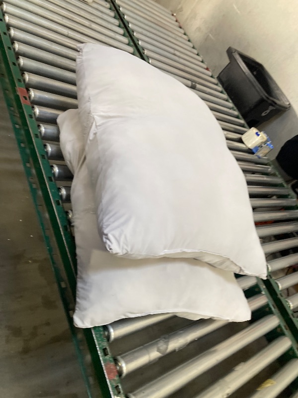 Photo 1 of 2 PILLOWS 