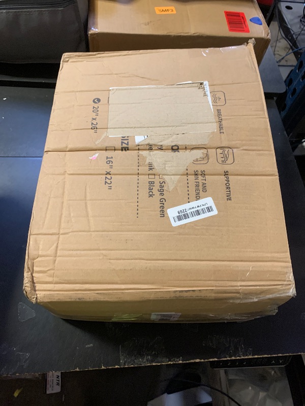 Photo 1 of APOBUY 20"X26" Large Organic Buckwheat Pillow with Dual-Layer Pillowcase and Extra Buckwheat Hulls, Adjust Height and Firmness, Neck Support Pillow for Back and Side Sleepers