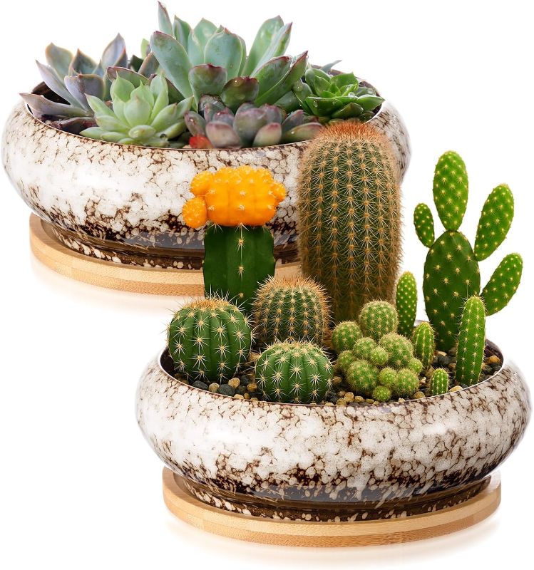 Photo 1 of 1 Pcs 7.3'' Round Large  and 1 Rectangle shaped 4 x 7.5" Shallow Succulent Ceramic Planter Pots with Drainage Hole Drip Glazed Shallow Bonsai Pot with Bamboo Tray for Indoor Outdoor Decor Cactus Flower (White)