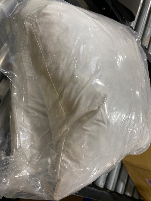 Photo 1 of  A LARGER  Feather Pillow