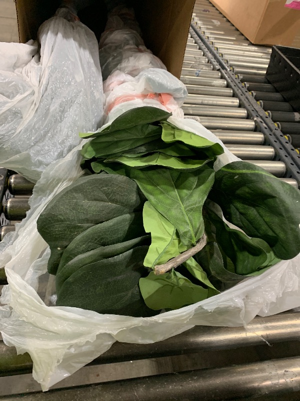 Photo 1 of ARTIFICIAL PLANT 