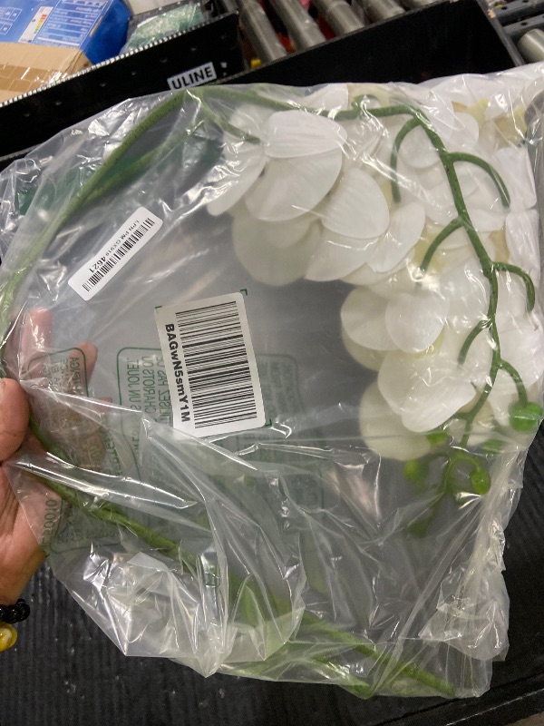 Photo 1 of Fnize Orchid Stems Artificial Flowers Real Touch Latex Faux Phalaenopsis Branches 9 Large Blooms 38 Inches 2pcs White