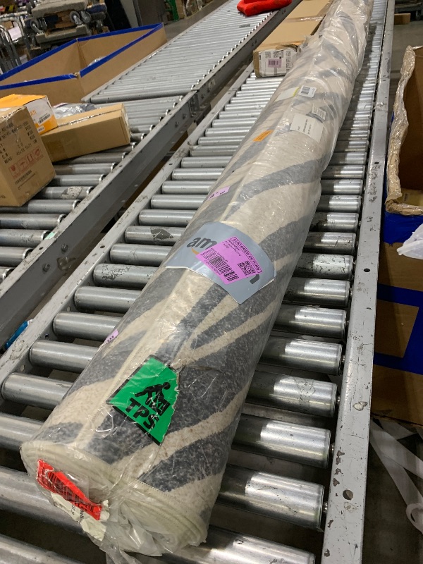 Photo 1 of ZEBRA RUG