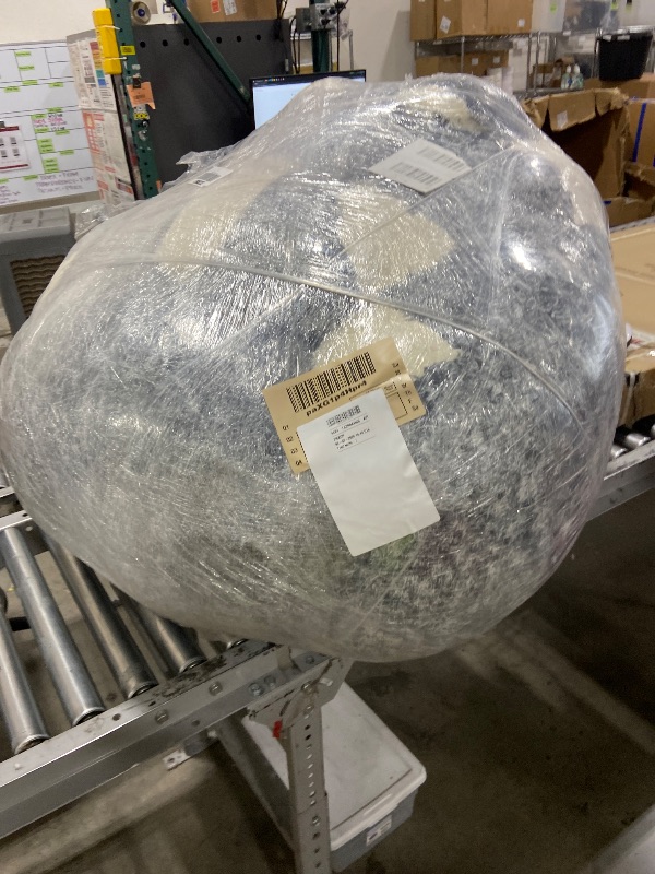 Photo 1 of EBENCHICO Giant Bean Bag Chair for Adults Raccoon Shaped Beanbag Sofa