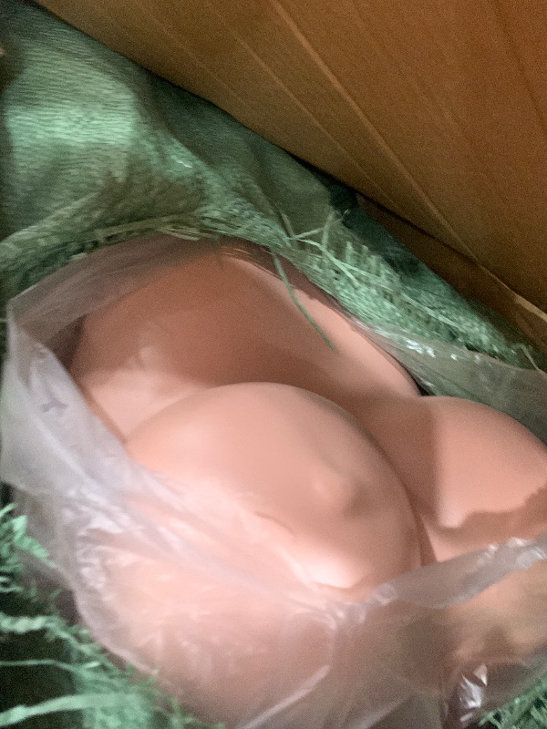 Photo 1 of JESSMAMA Curvy Female Mannequin with Stand