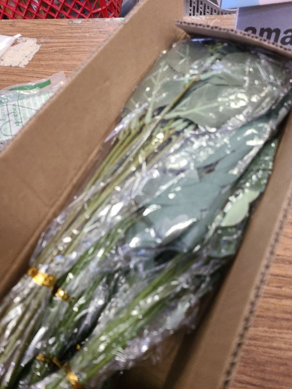 Photo 1 of 120 Pcs 4 Kinds Mixed Artificial Eucalyptus Leaves Stems Bulk Fake Silver Dollar Eucalyptus Bundle Faux Plants Greenery for DIY Bouquets Floral Arrangement Wedding Engagement Party Decor (Green)