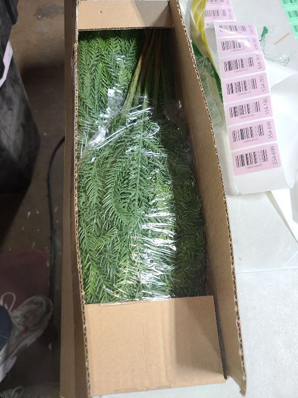 Photo 1 of 16 Pcs Christmas Norfolk Pine Branches,19" Real Touch Artificial Faux Norfolk Pine Stems ,Artificial Cedar Pine Stems, Artificial Greenery,Suitable for Vases, DIY Wreaths,Home and Garden Decorations