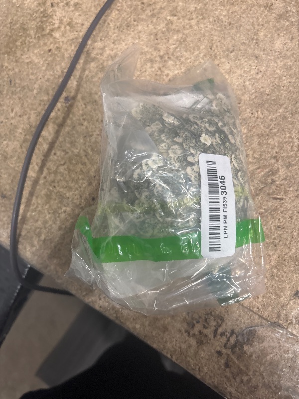 Photo 1 of 150Pcs Mini Dried Pressed White Baby’s Breath Flowers Bulk - Real Natural Flat Flowers for Epoxy Craft, Scrapbooking, Wedding Invitations, Home Decor, DIY Gifts for Crafters & Event Planners (150)