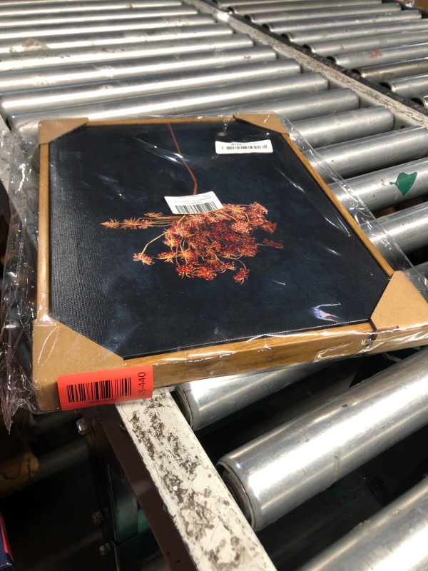 Photo 1 of ***DAMAGED - SEE NOTES/PICTURES*** KBKBART Framed Vintage Wall Art Prints, Retro Moody Floral Botanical Canvas Painting Farmhouse Decor, Black Dark Classical Flower Framed Canvas Wall Art for Bathroom, Bedroom, Living Room(11"x14")