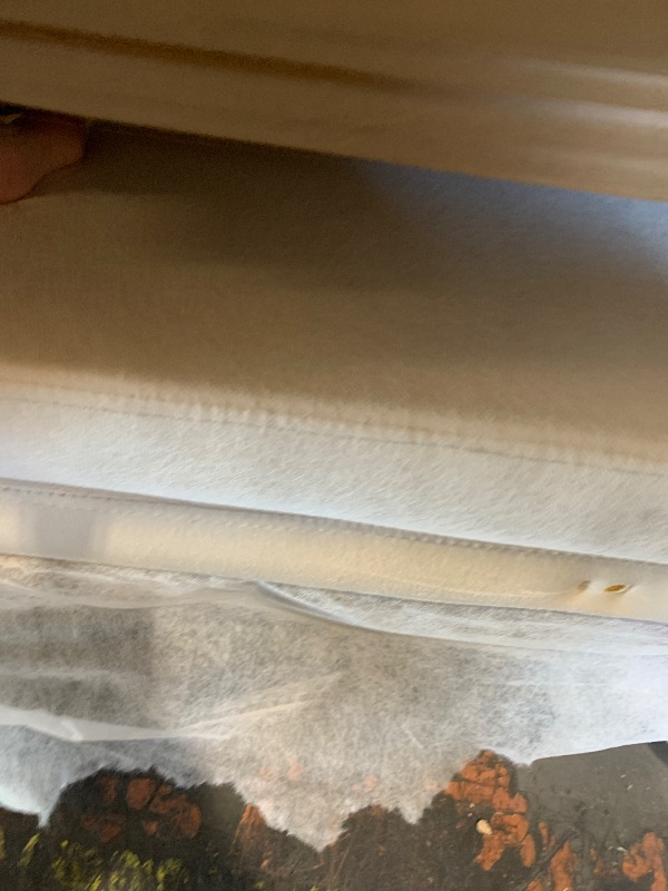 Photo 1 of ***PARTIAL SET - PRICE ADJUSTED SEE NOTES***
Ball & Cast Full Size Daybed with Trundle,Upholstered Trundle Bed W/Bedframe Tufted Button & Copper Nail on Arms Design,No Box Spring Needed,Sofa Bed Frame for Bedroom,Guest Room,Beige