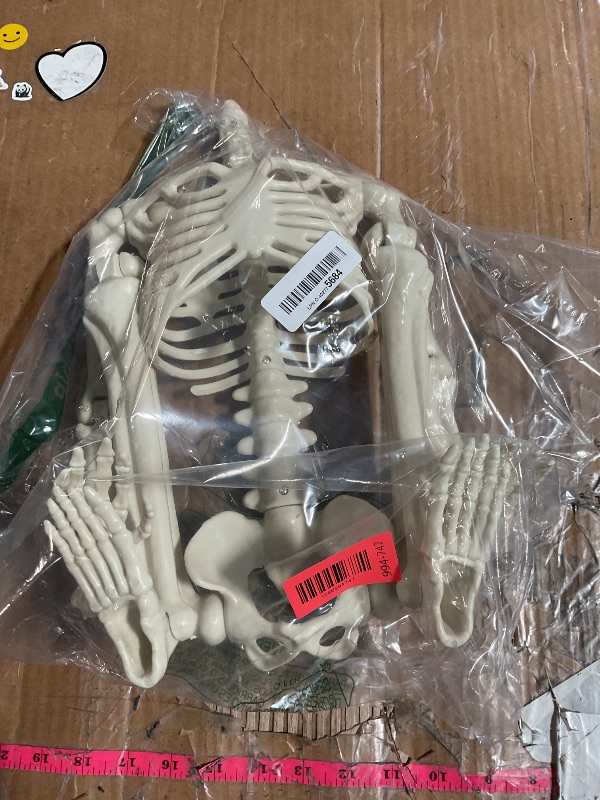 Photo 1 of (MISSING HEAD) (USED/FAIR) (BAGGED) CAMIRUS 36" Skeleton Halloween Decorations, 3ft Full Body Posable Life Like Skeleton Realistic Human Plastic Bones with Movable Joints for Halloween Party Lawn Haunted House Decor