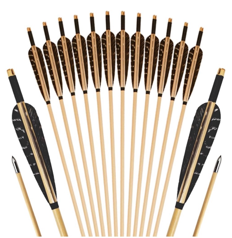 Photo 1 of 12Pcs Archery Wooden Arrows with Feathers Handmade Targeting Arrows for Traditional Bow Recurve Bow Longbow for Adults