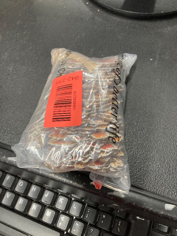 Photo 1 of Pcs Fall Wooden Hanging Ornaments Fall Tree Decorations Thaknsgiving Bow Wood with Ropes Hanging Signs Pendant for Home Tree Party Indoor Decorations