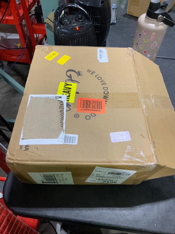 Photo 1 of Globon Ultra-Soft Down Feather Comforter California King Size,Luxurious Fluffy Hotel Collection Duvet Insert for All Season,Noiseless Shell,700 Filling Power,Medium Weight with Corner Tabs,White