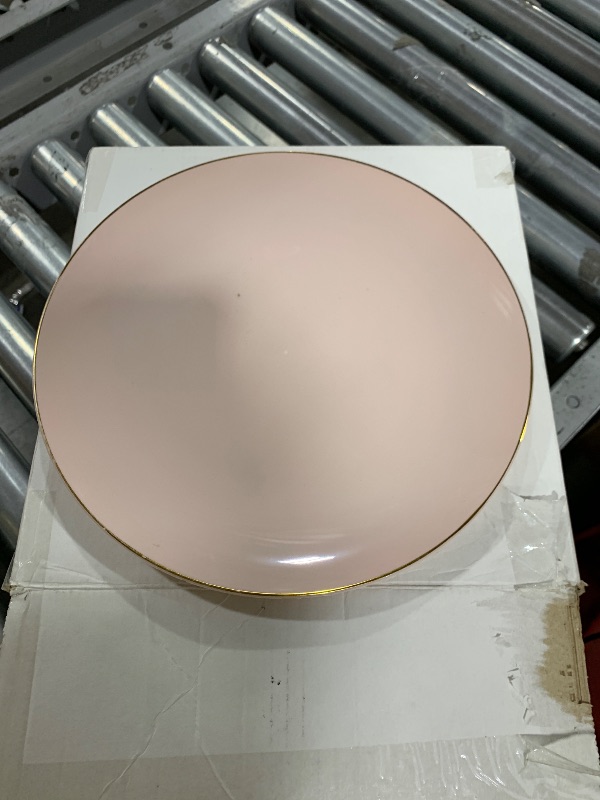 Photo 1 of 100 Pc Pink Dinner Plates