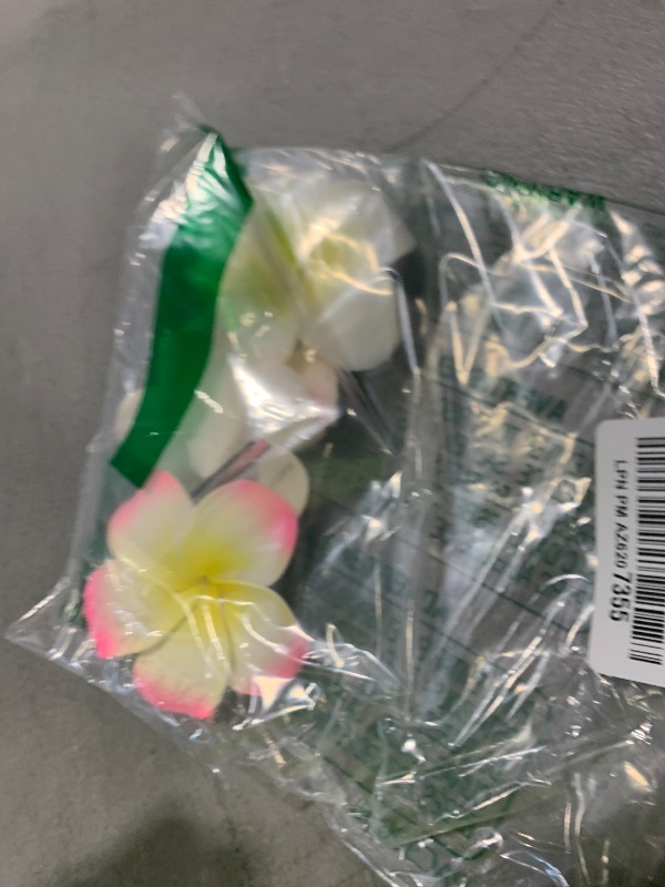 Photo 1 of 4 Pcs 7cm White and Pink Hawaiian Frangipani Plumeria Foam Head Flower Party Beach Hair Clip Hair Clips
