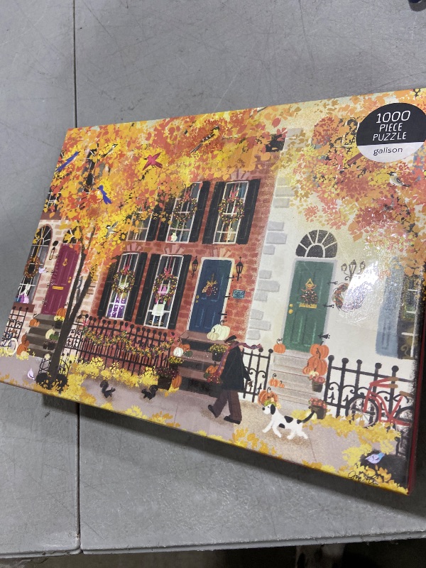 Photo 1 of 1000 Piece Puzzle 