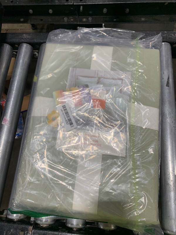 Photo 1 of Peri Home Bows Duvet Cover Set 100% Cotton 3-Piece Bedding, Full/Queen, Green Sasha Bows