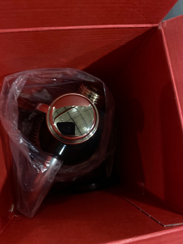 Photo 1 of iSi North America Soda Siphon Classic Mesh Sodamaker for Making Carbonating Beverages, 1 Quart, Stainless Steel,Silver