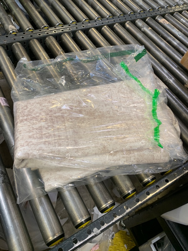 Photo 1 of Light brown rug