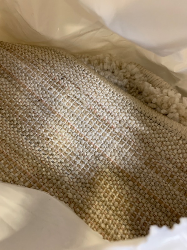 Photo 1 of Large Light Brown Colors Rug