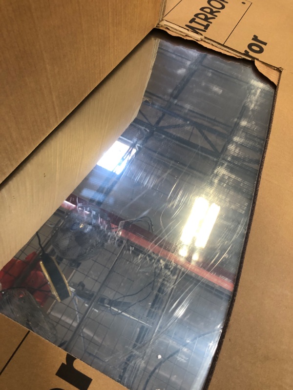 Photo 1 of *DETAILS UNKNOWN* Full Length Mirror - Black