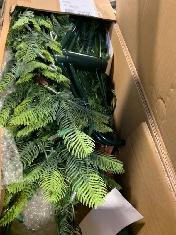 Photo 1 of CHRISTMAS TREE 