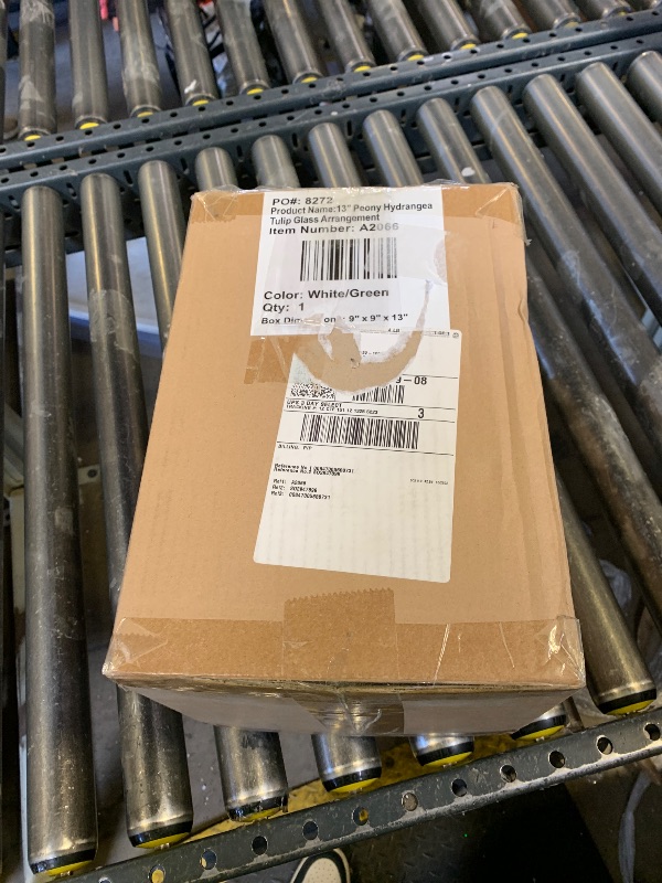 Photo 1 of 13" peony hydrangea tulip glass arrangement white/green