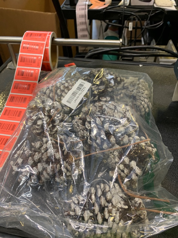 Photo 1 of 10 Pieces Large Christmas Pine Cones Decorations Picks - Frosted Snow Pine Cones for Christmas Tree, Garland Wreath Ornaments Home Decorating Pinecones Winter Holidays