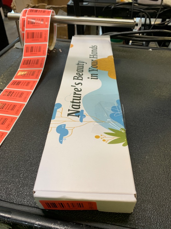 Photo 1 of 10 PCS Real Creamy White Silver Dollar Eucalyptus Stems for Vase - 15"-17" Fresh & Dried Eucalyptus Leaves Bundle, Natural Greenery Plants for Home, Wedding, Boho Decor & DIY Crafts